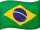Brazil Flag